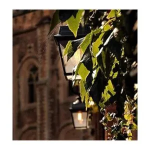 Bombilla LED de Dusk to Dawn con sensor de fotocélula y