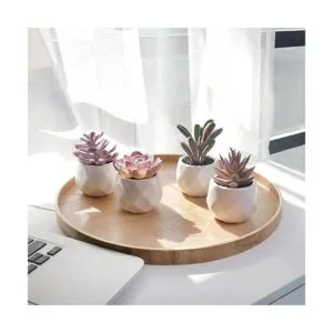Plantas artificiales de escritorio falsas suculentas_4