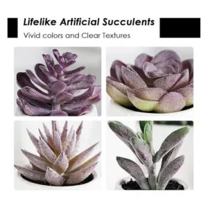 Plantas artificiales de escritorio falsas suculentas_3
