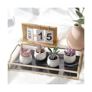 Plantas artificiales de escritorio falsas suculentas_5