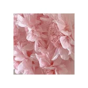 Rainbow Store Papel tisú para envolver regalos con los_4