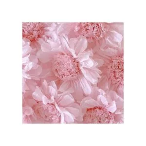 Rainbow Store Papel tisú para envolver regalos con los_2