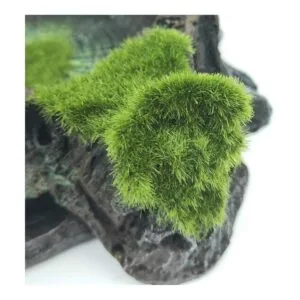 Plataforma de plástico para reptiles de resina diseño de