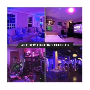 Bluex Bulbs Paquete de 2 bombillas LED negras 9 W A19 E26