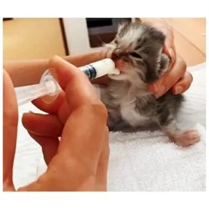 Paquete de 50 jeringas de plástico de 0.1 fl oz con tapa_4