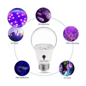 Bluex Bulbs Paquete de 2 bombillas LED negras 9 W A19 E26