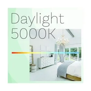 Asencia AN03676 Bombilla LED regulable con filamento