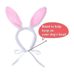Juego de disfraz de conejo para perro orejas de conejo_3