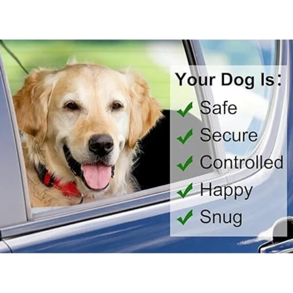 BWOGUE Cinturones de seguridad para perros y gatos