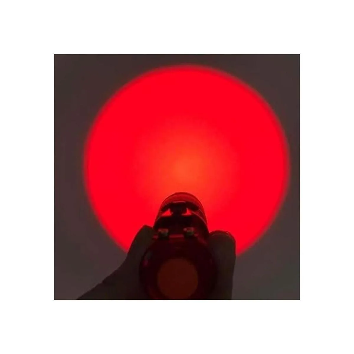 Paquete de 3 linternas de luz roja 3 modos linterna LED_2