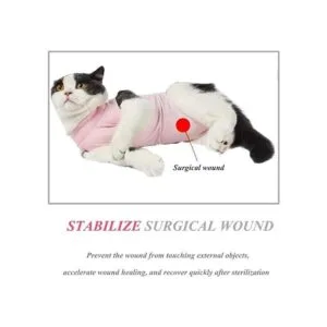 Coppthinktu Traje de recuperación de gatos para heridas