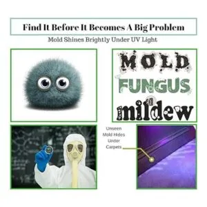 Potente linterna LED de luz negra ultravioleta detecta