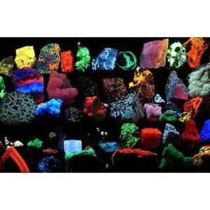 Potente linterna LED de luz negra ultravioleta detecta