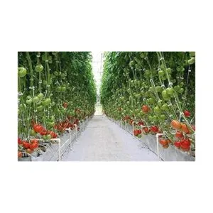 Gran cordel de panadería blanca cordel de carniceros