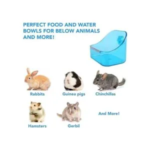 Paquete de 2 cuencos de comida y agua CalPalmy de 5 x 3_2