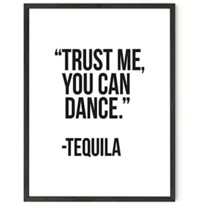 Haus and Hues Divertida decoración en blanco y negro_1