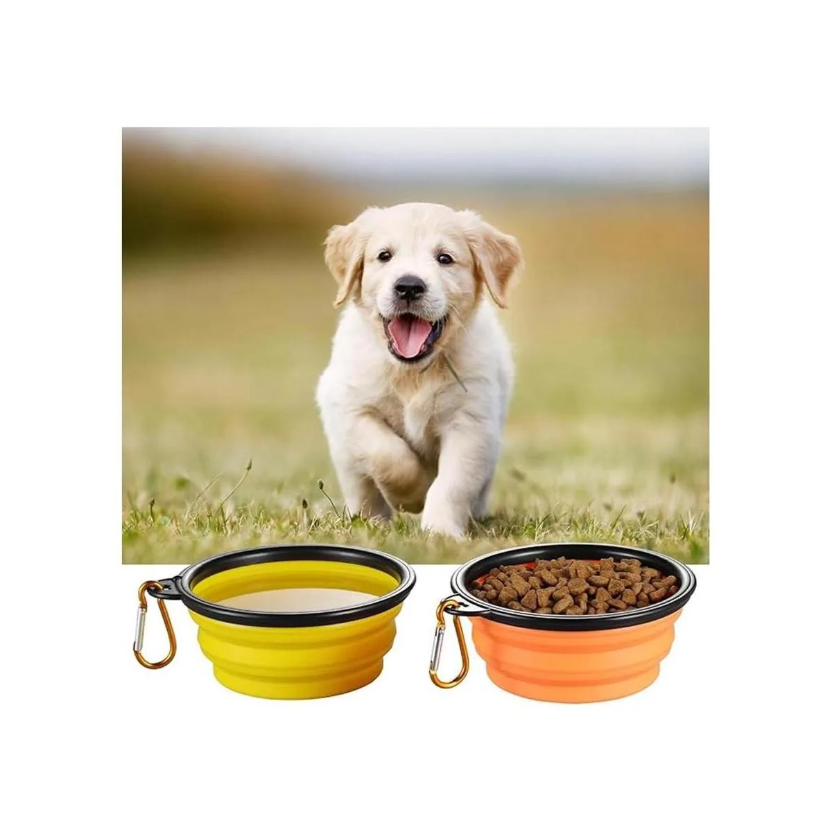 Tazón plegable para perros de viaje para perros 12 onzas