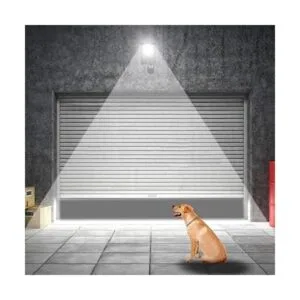 Floodoor Luz LED con sensor de movimiento de 30 W luz de