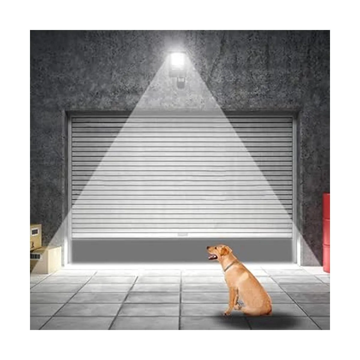 Floodoor Luz LED con sensor de movimiento de 30 W luz de