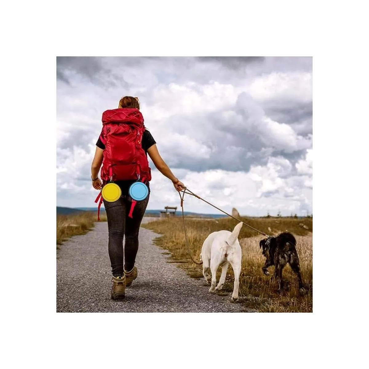 Tazón plegable para perros de viaje para perros 12 onzas