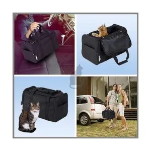 Caja de arena portátil para gatos caja de arena de viaje_3