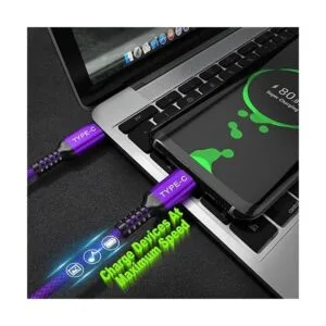 Basesailor Cable USB tipo C a C de 100 W de 10 pies2