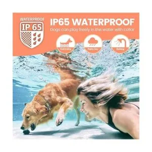 FunniPets Collar de entrenamiento para perros de 3 perros_4