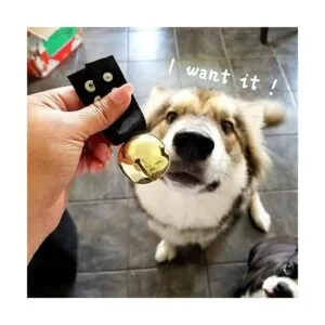 Campana grande de collar de perro para entrenar