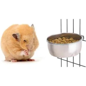 Tfwadmx Bird Feeding Dish Cups Parrot Food Bowl Clamp_5