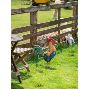 TERESAS COLLECTIONS Estatuas de jardín de gallo de metal