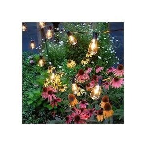 Romasaty Paquete de 25 bombillas ST35 de repuesto Edison