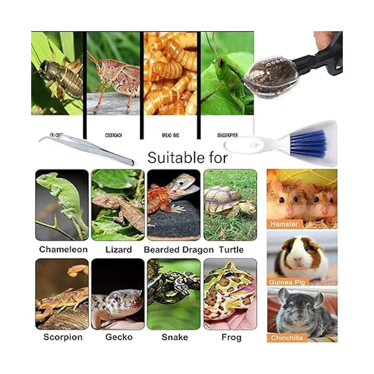 Accesorios de limpieza para mascotas herramienta de