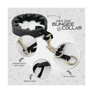 RamPro Collar de entrenamiento para perros collar grande