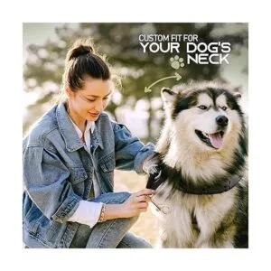 RamPro Collar de entrenamiento para perros collar grande