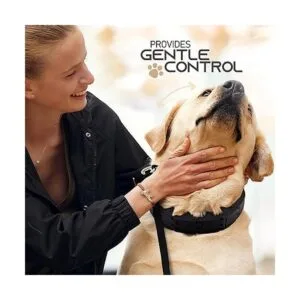 RamPro Collar de entrenamiento para perros collar grande