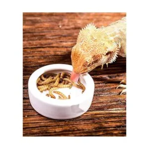 Tfwadmx Juego de 2 cuencos de cerámica para alimentos de