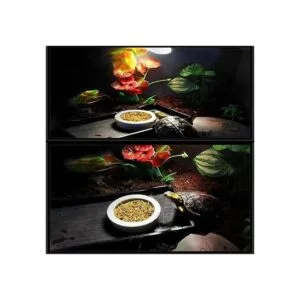 Tfwadmx Juego de 2 cuencos de cerámica para alimentos de