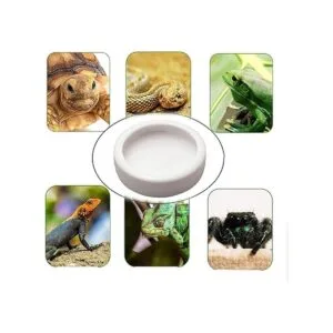 Tfwadmx Juego de 2 cuencos de cerámica para alimentos de