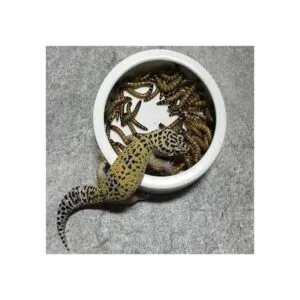 Tfwadmx Juego de 2 cuencos de cerámica para alimentos de