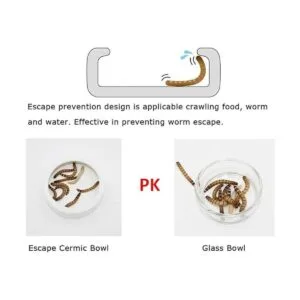 Tfwadmx Juego de 2 cuencos de cerámica para alimentos de