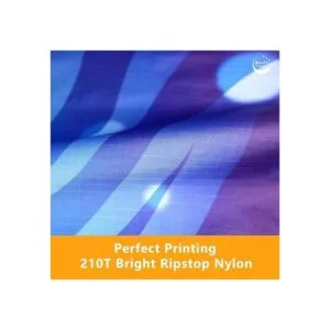 Mints Colorful Life Devil Fish Kite for Kids sEasy to_3