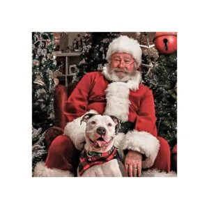 Odi Style Pañuelos de búfalo a cuadros para perros 4_2