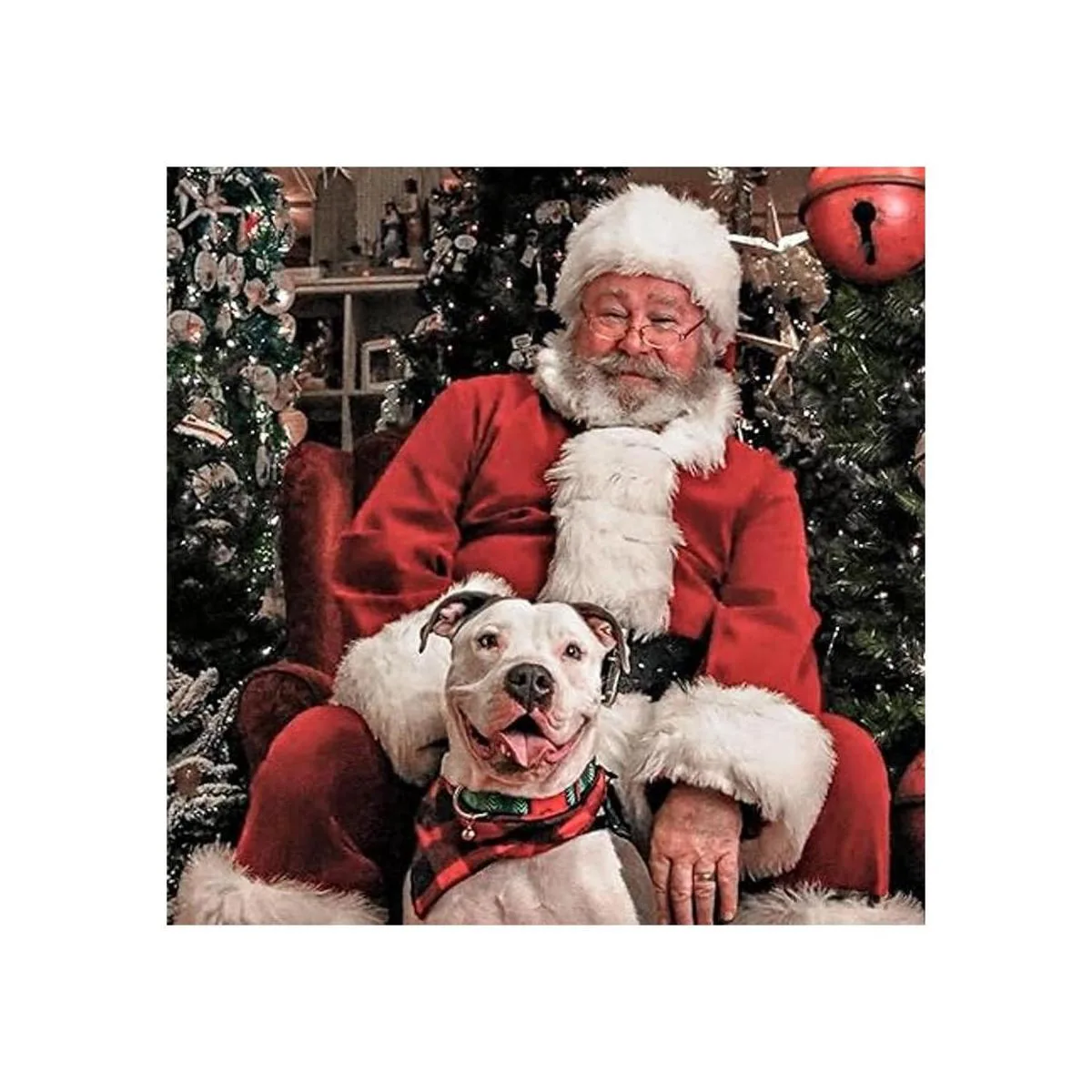 Odi Style Pañuelos de búfalo a cuadros para perros 4_2