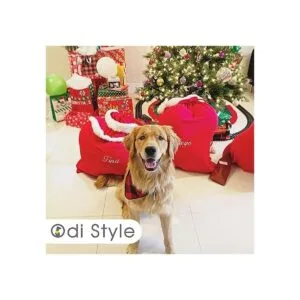 Odi Style Pañuelos de búfalo a cuadros para perros 4_4