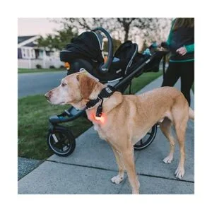 Gear Aid Kit de luz de mosquetón 4 en 1 portátil_3