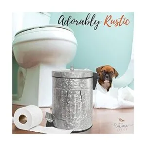 Autumn Alley Bote de basura pequeño galvanizado con tapa_2