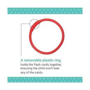 Tarjetas Mudpuppy My ABCs del alfabeto doble faz con_3