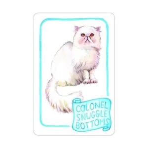 Cat Lady Old Maid regalos de gato para amantes de los_2