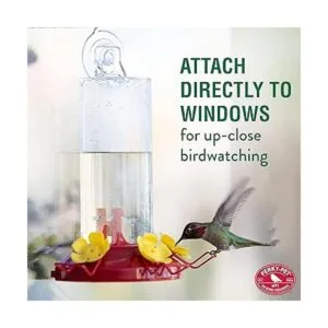 PerkyPet alimentador de colibrí con montaje en la pared 8_4