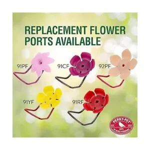 PerkyPet alimentador de colibrí con montaje en la pared 8_5